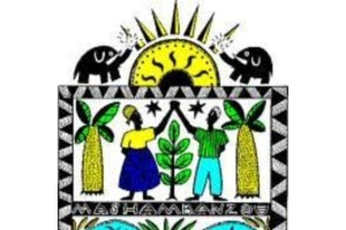 Mashambanzou Care Trust logo