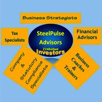 SteelPulse Advisors logo